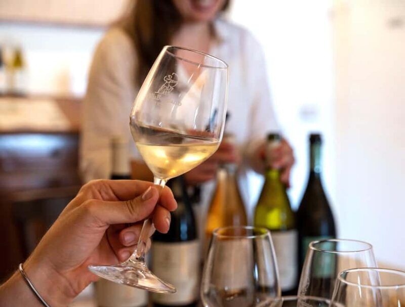 Off-road tour through vineyards and organic wine tasting Villa Bogdano 1880 - Final Thoughts