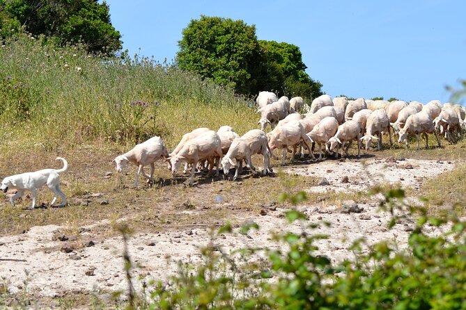 Off-Road Tour: Travel Inland - Accessibility and Group Size