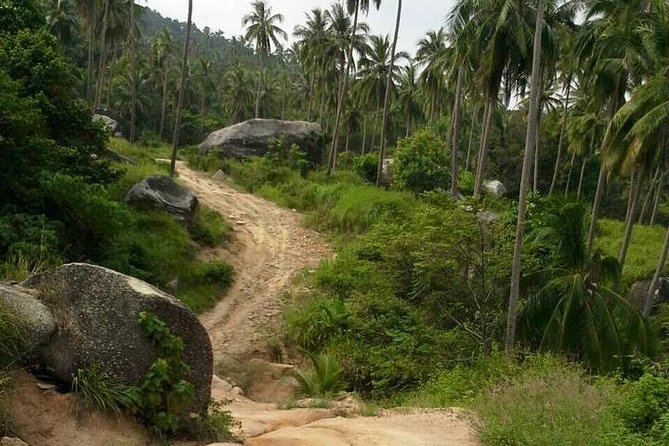 Off-Road Trip in Koh Phangan - The Sum Up