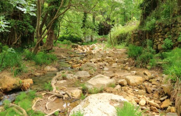 Off-Road: Waterfall, Lake Kournas, Gorges, Palm Beach, Lunch - The Sum Up