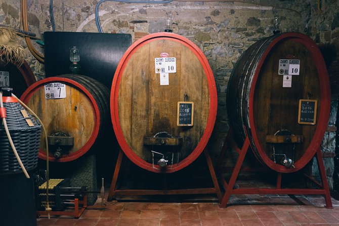 Off Road Wine Tour From Castellina in Chianti - The Sum Up