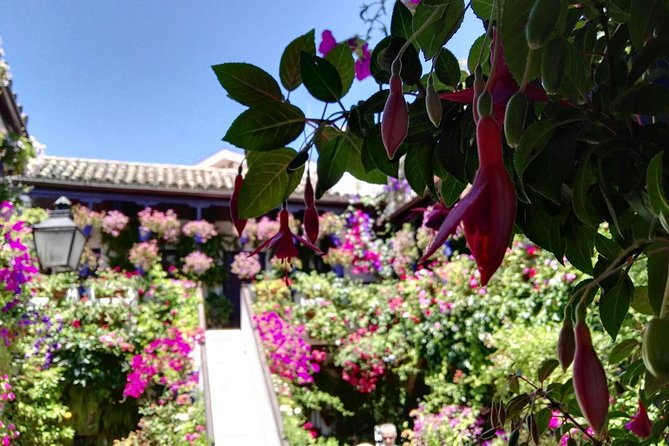 Off the Beaten Path. Cordoba Patios Private Tour - Tour Details