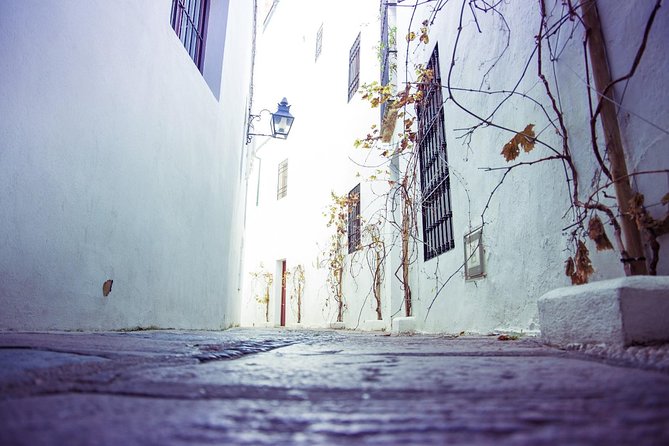 Off the Beaten Path. Cordoba Patios Private Tour - Importance of Outdoor Spaces in Cordoba