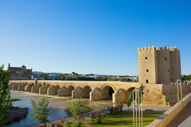 Off the Beaten Path. Cordoba Patios Private Tour - Highlights of the Patios Visited