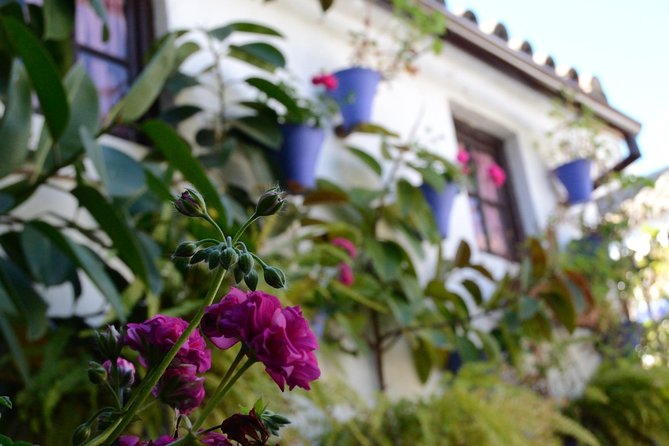 Off the Beaten Path. Cordoba Patios Private Tour - Cancellation Policy and Refund Information