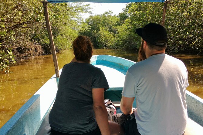 Off The Beaten Path Jungle Lagoon Turtle Release Lunch High Diver - Experience Highlights