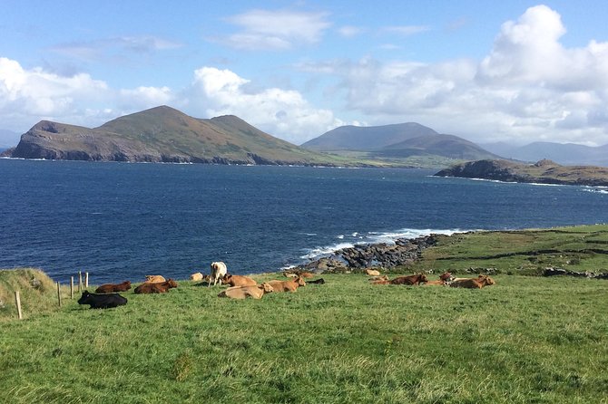 Off the Beaten Path Private Tour of Ring of Kerry - The Sum Up
