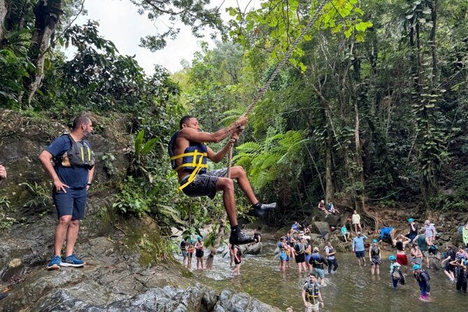 "Off the beaten path" Rain Forest Guided hike with Transportation - El Yunque National Forest: The Heart of the Adventure