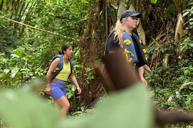 "Off the beaten path" Rain Forest Guided hike with Transportation - Authentic Local Insight