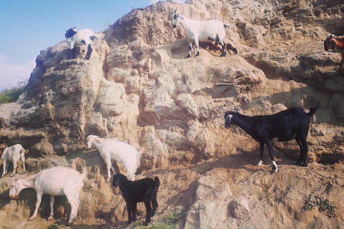 Off-The-Beaten-Path" Tour Around Kathmandu - Additional Information and Requirements