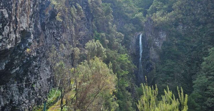 Off the Beaten Path,Levada Do Seixal, Madeira Island - Tour Details