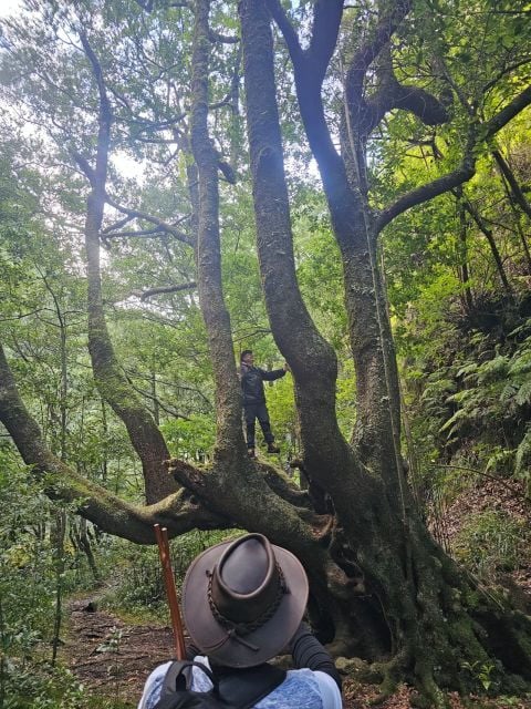 Off the Beaten Path,Levada Do Seixal, Madeira Island - Important Information
