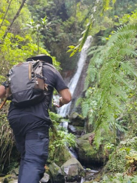 Off the Beaten Path,Levada Do Seixal, Madeira Island - Booking