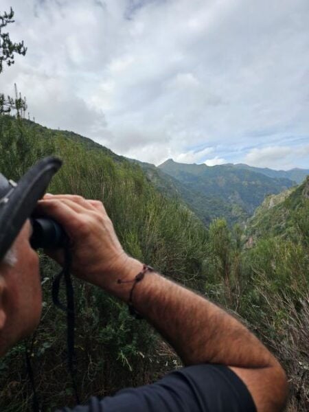 Off the Beaten Path,Levada Do Seixal, Madeira Island - Background