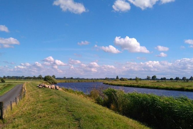 Off the Beaten Paths Dutch Landscape Country Side Private Tour by Car 4 Hours - Reviews and Testimonials