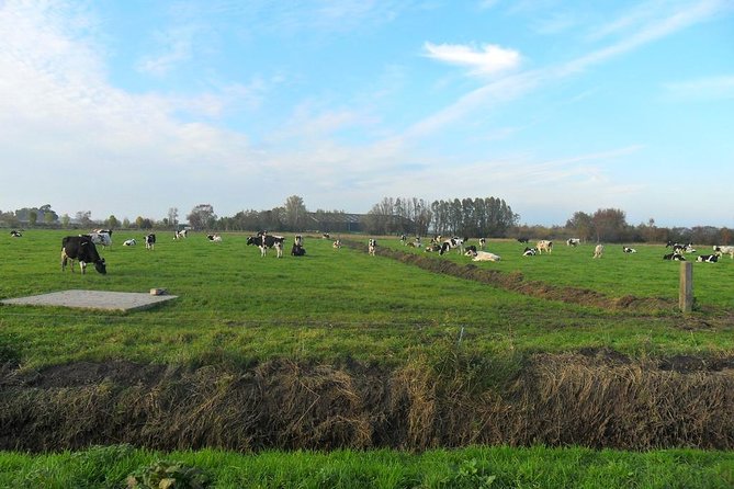 Off the Beaten Paths Dutch Landscape Private Tour by Car Half a Day - Stops at a Cheese and Clog Shoppe