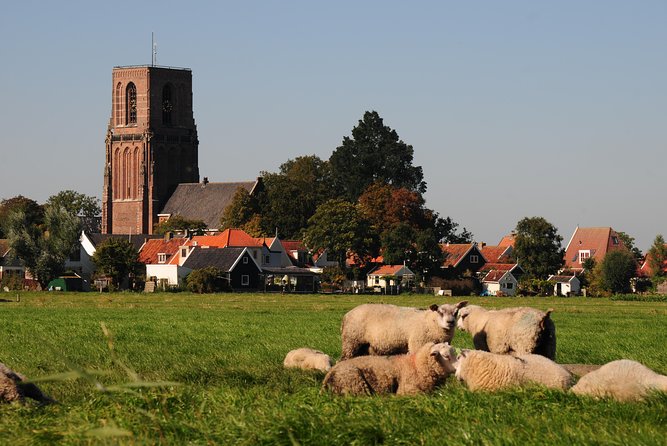 Off the Beaten Paths Dutch Landscape Private Tour by Car Half a Day - Immersion in Dutch Countryside