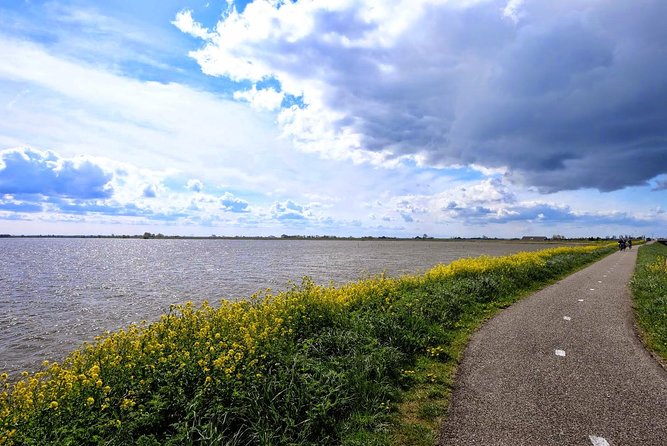 Off the Beaten Paths Dutch Landscape Private Tour by Car Half a Day - Pricing and Booking Details