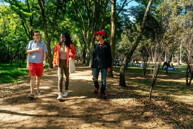 Off the Beaten Track in Mexico City: Private City Tour - Private City Tour Overview