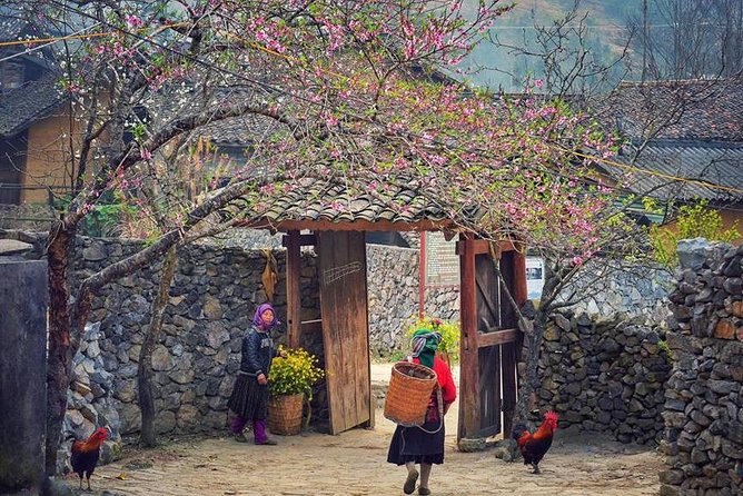 Off The Beaten Track In North Vietnam 8 Days 7 Nights - Common Questions