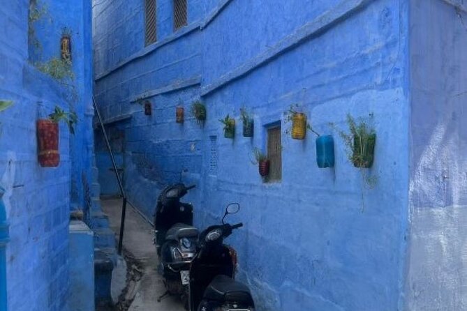 Off-the-Beaten-Track Jodhpur Walking Tour (Feb ) - Tour Overview