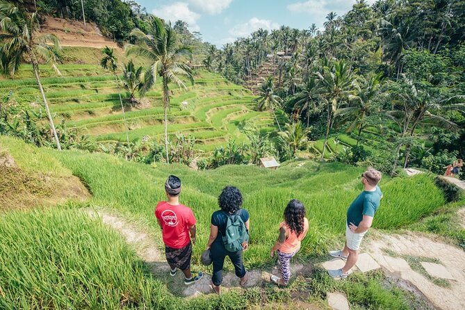 Off the Tourist Trail in Bali: Hiking Rice Terraces Experience - Tour Overview