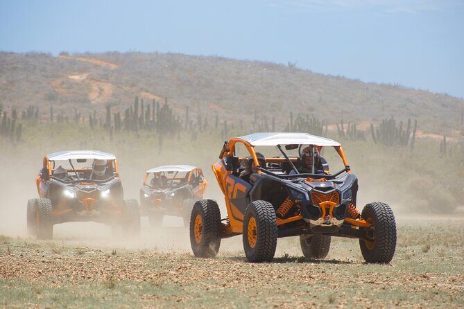 Off to Road Cabo San Lucas Adventure - The Sum Up