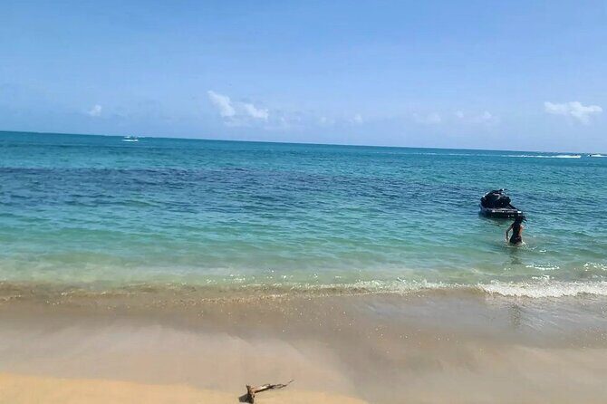 Off Trail Rainforest El Yunque and Beach Adventure Tour - FAQ