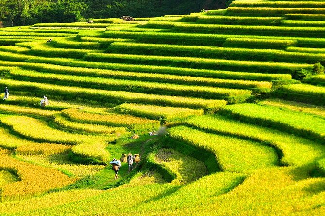 Offbeat Trekking Tour: Pu Luong Nature Reserve 2 Days From Hanoi - Cancellation Policy