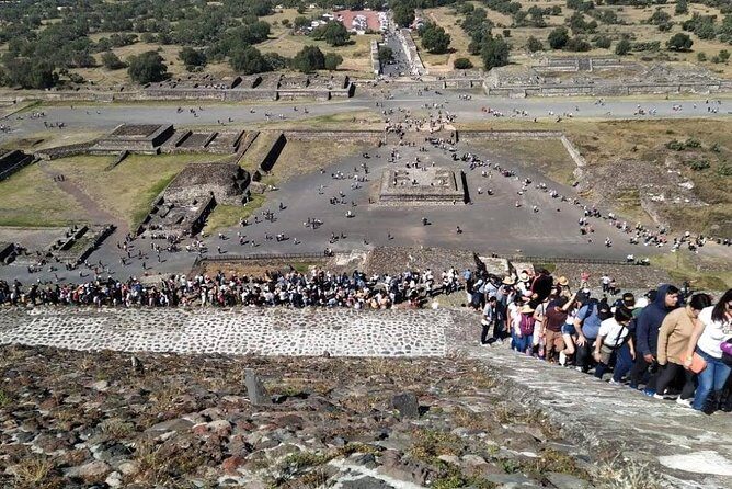 OFFER / Private COMBO 2 days Frida Kahlo Museum / Xochimilco -Teotihuacan / Basilica. - The Sum Up