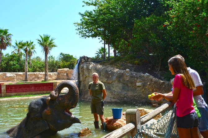 Offer Summer Terra Natura Entrance Ticket - Overview and Ticket Details
