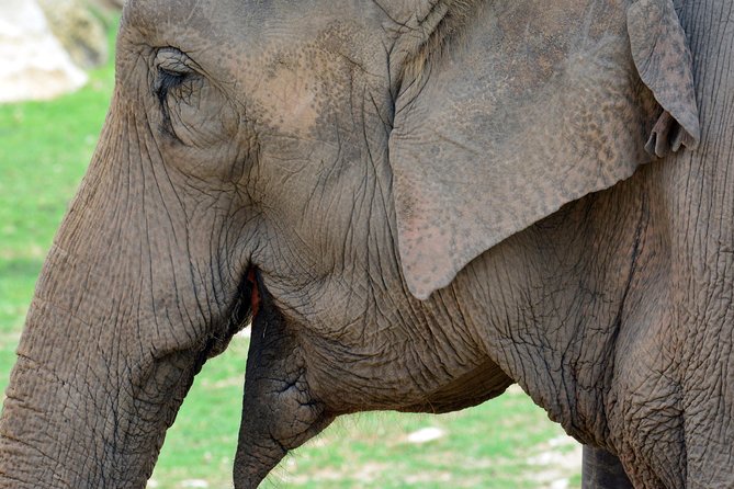 Offer Summer Terra Natura Entrance Ticket - Refund and Cancellation Policy