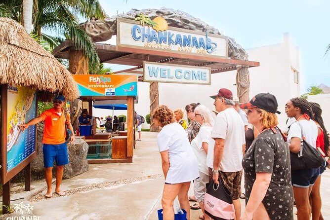 Official Chankanaab Beach Park Day pass with Snorkeling - Who Should Consider This Tour?