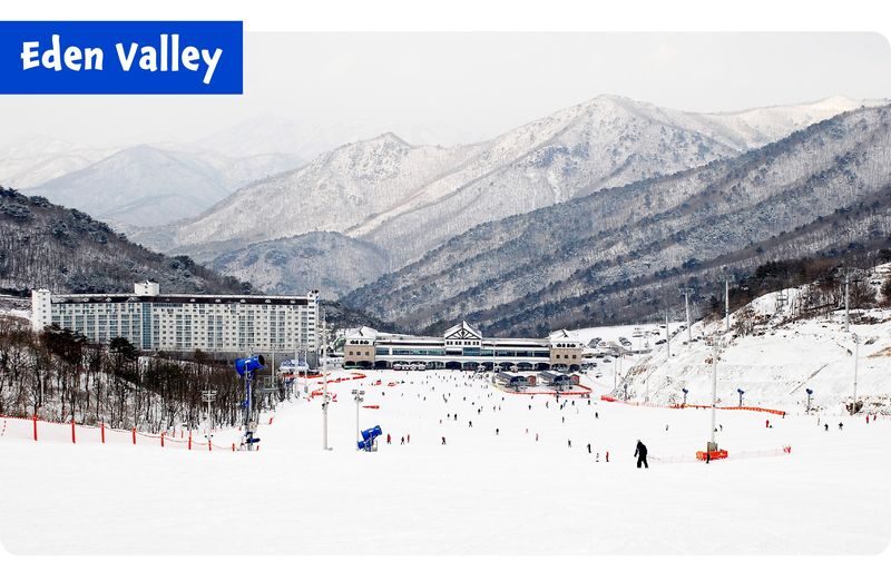 OFFICIAL: Eden Valley Ski Day Tour from Busan - A snowy day trip without the driving