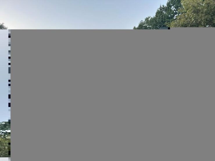 Official Exclusive VIP Horse Carriage Ride in Central Park - Tour Details