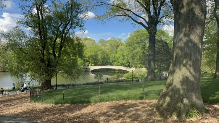 Official Exclusive VIP Horse Carriage Ride in Central Park - Itinerary