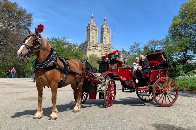 Official NYC Horse Carriage Rides in Central Park Since 1979 - Pricing and Booking