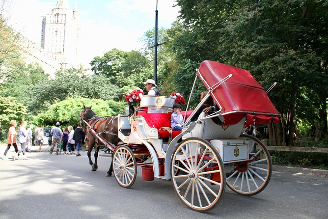 Official NYC Horse Carriage Rides in Central Park Since 1979 - Overview of Carriage Ride
