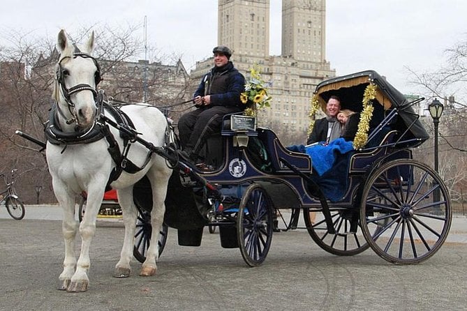 Official NYC Horse Carriage Rides in Central Park Since 1979 - Location and Meeting Point