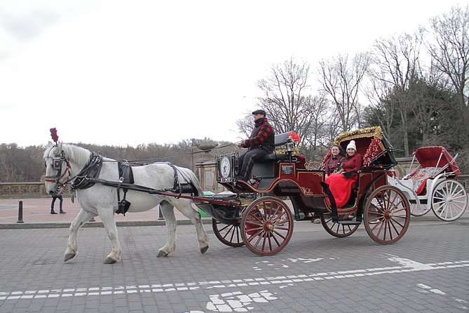 Official NYC Horse Carriage Rides in Central Park Since 1979 - Traveler Photos and Reviews