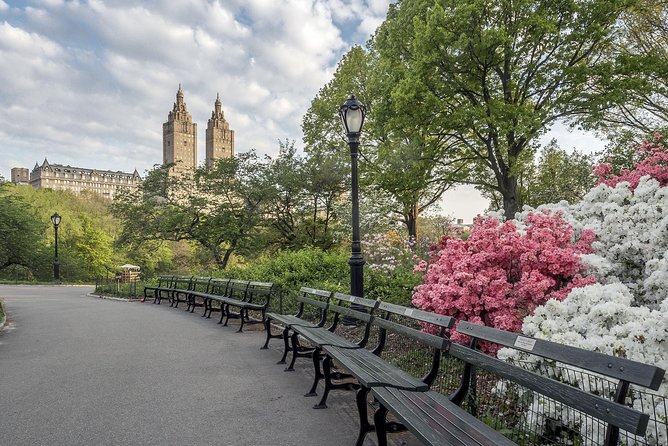 Official NYC Horse Carriage Rides in Central Park Since 1979 - Common Questions