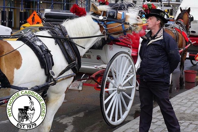 Official NYC Horse Carriage Rides in Central Park Since 1979 - The Sum Up