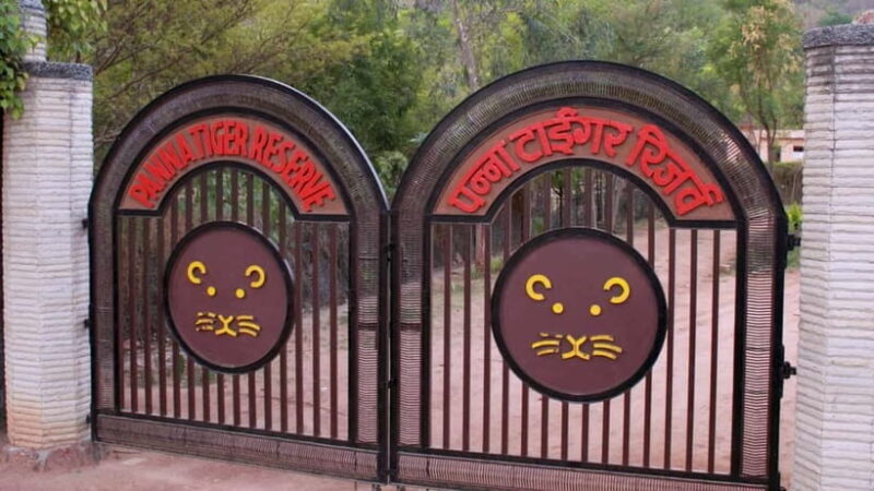 Official Panna National Park Sharing Tiger Safari - FAQ
