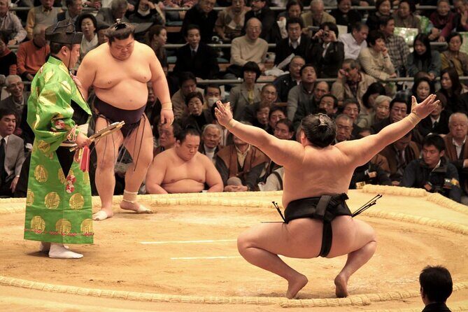 Official Sumo Tournament Ticket with Guided Experience - What You Can Expect from This Sumptuous Tour
