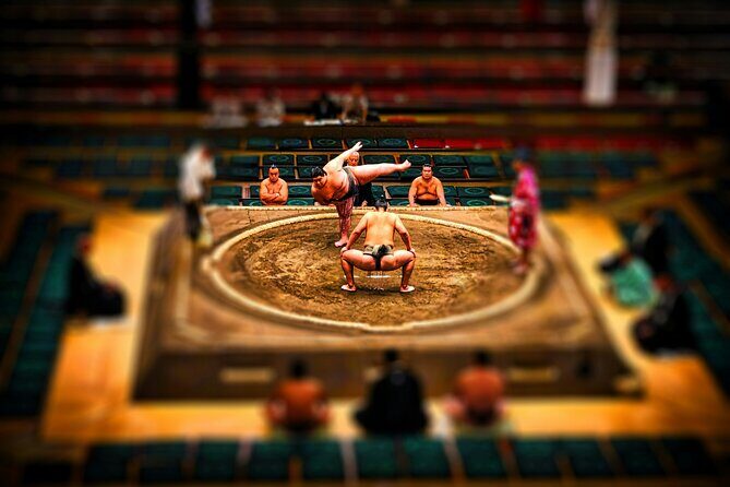 Official Sumo Tournament Ticket with Guided Experience - Who Will Love This Tour?