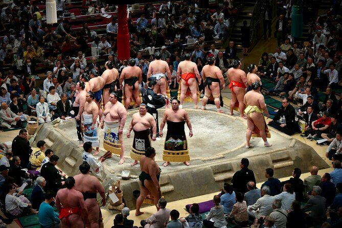 Official Sumo Tournament Ticket with Guided Experience - The Sum Up