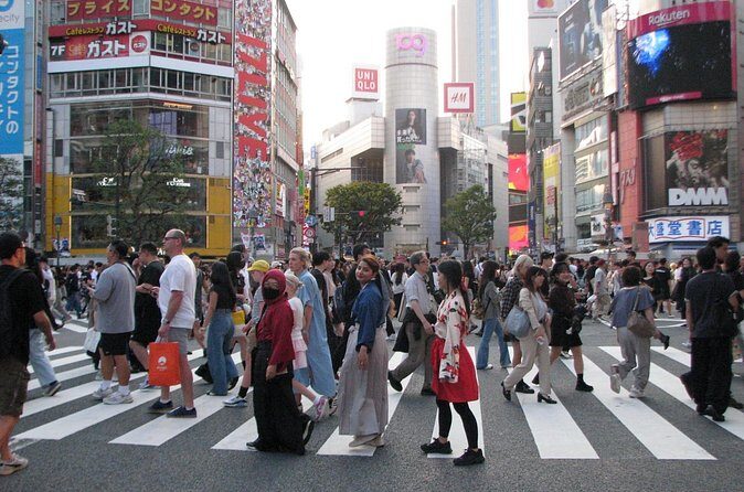 Official Tokyo Shibuya : KIMONO Dressed EV-Go Kart Activity Tour - Who Will Love This Tour?