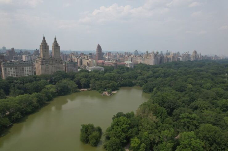 Official VIP Whole Central Park Horse Carriage Tour - Cancellation and Reservation Policy
