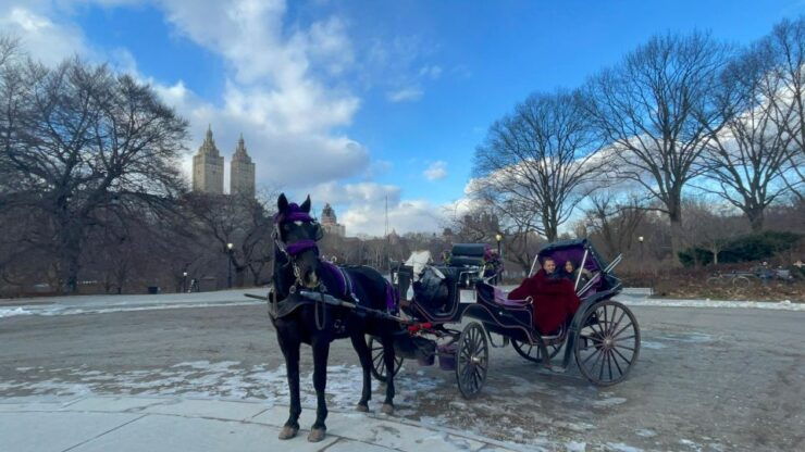 Official VIP Whole Central Park Horse Carriage Tour - Duration and Starting Times