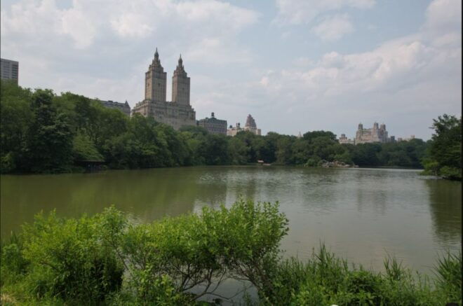 Official VIP Whole Central Park Horse Carriage Tour - Itinerary and Highlights